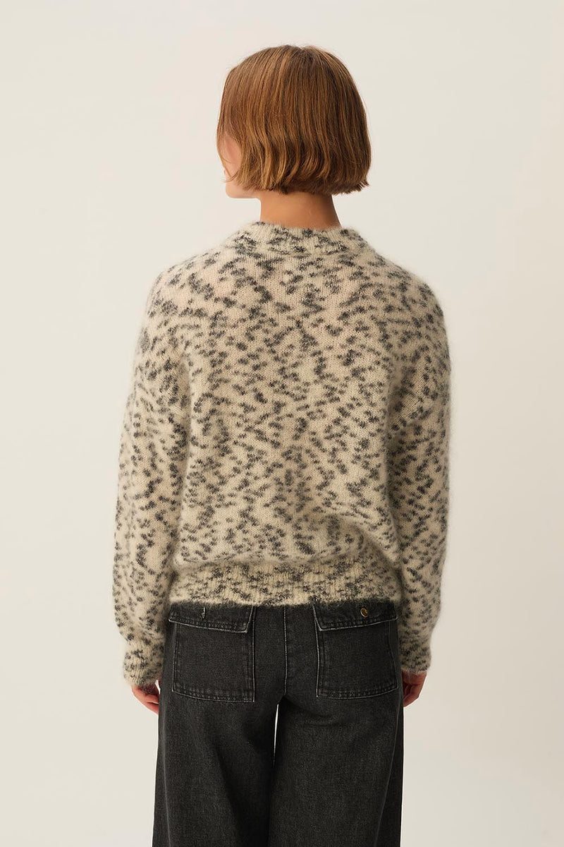 Pull Boleo Dalmatien