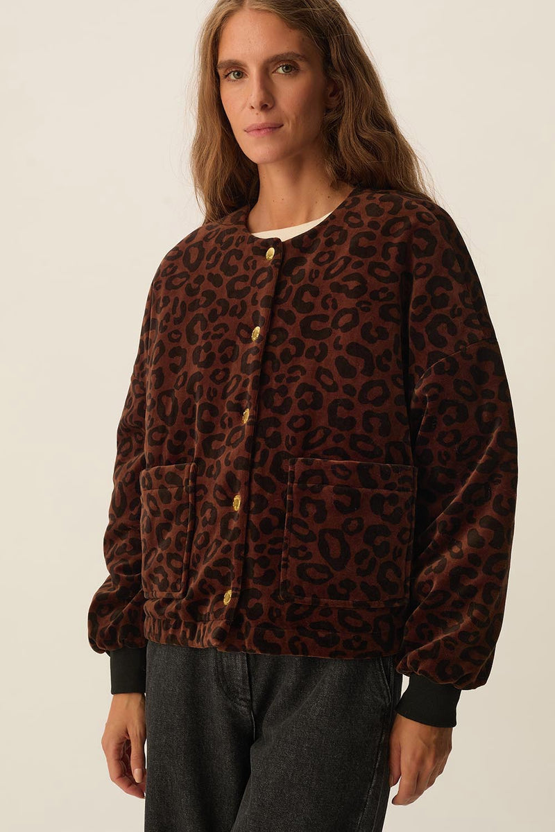 Veste maille Hilda Leopard