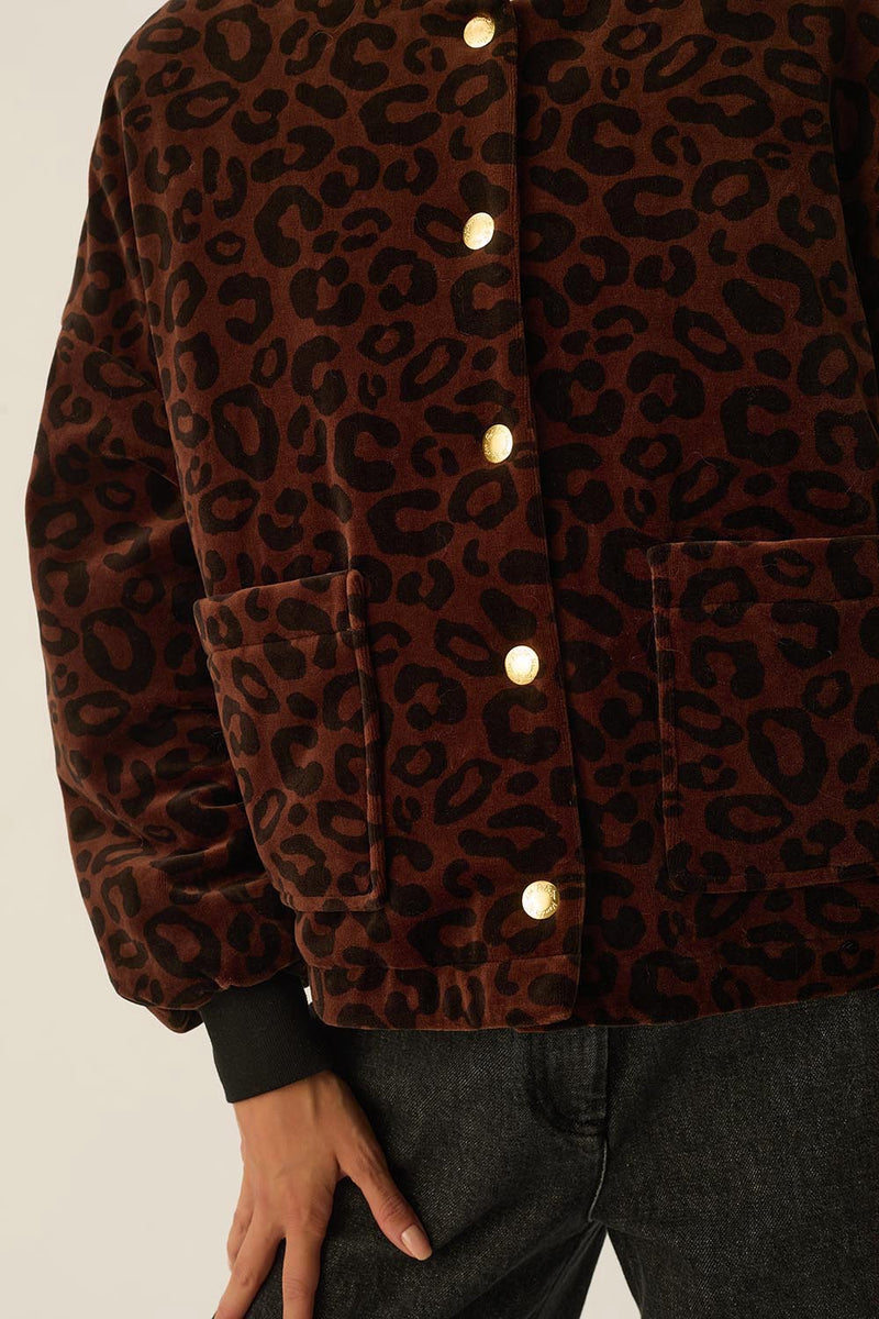 Veste maille Hilda Leopard