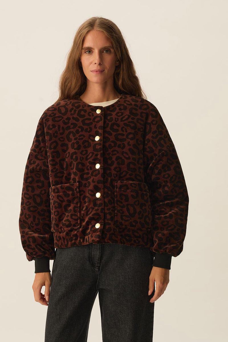 Veste maille Hilda Leopard