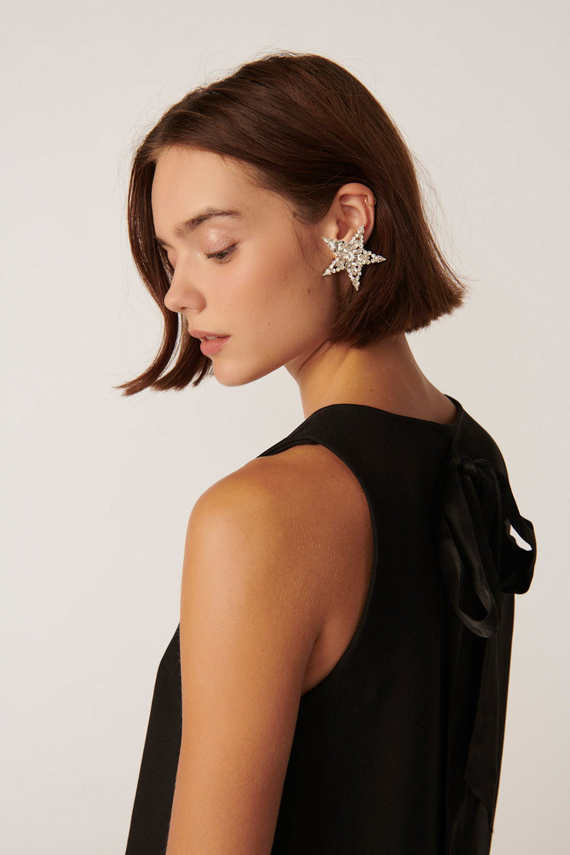 Boucles D'Oreilles Lamelia Argente