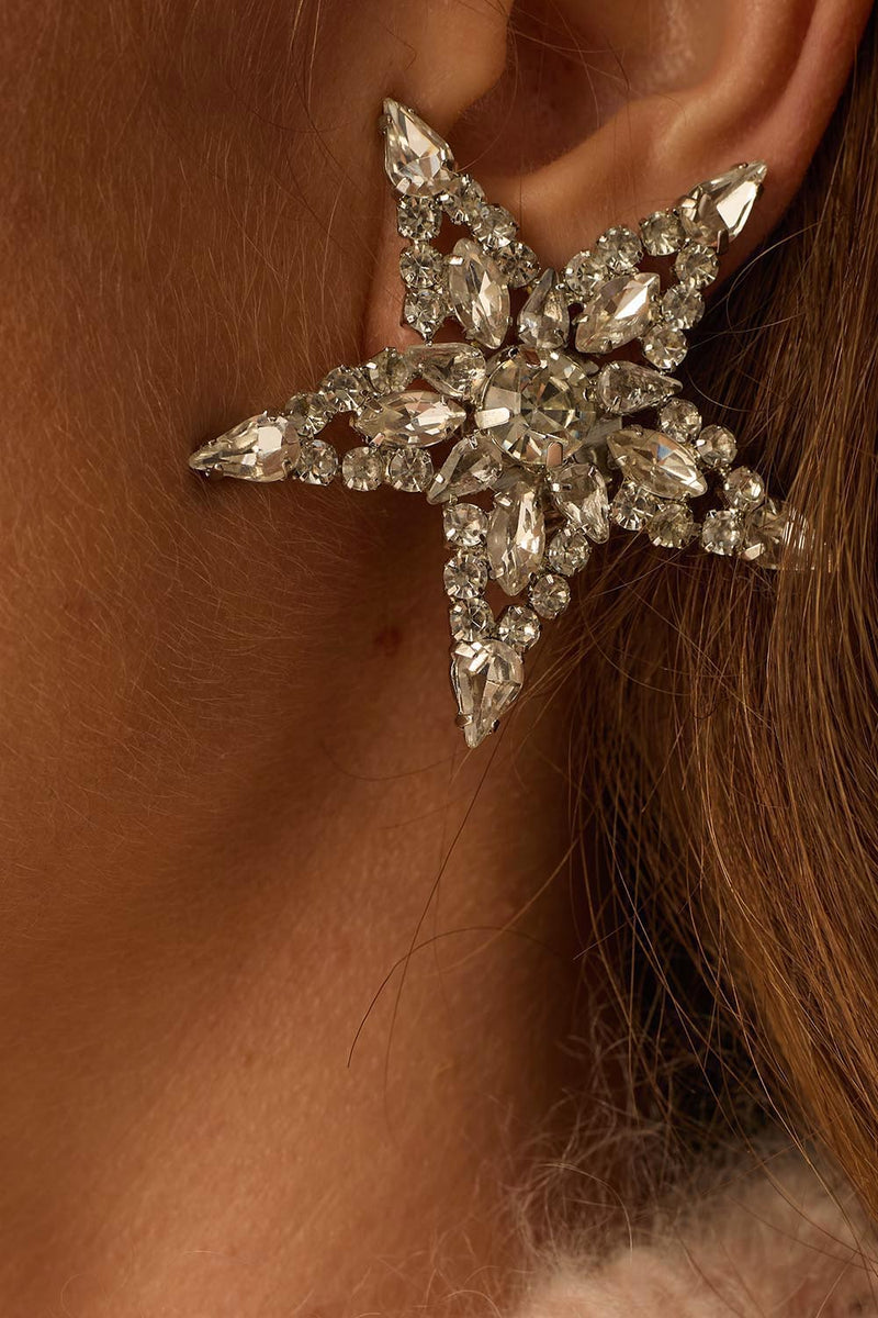 Boucles D'Oreilles Lamelia Argente